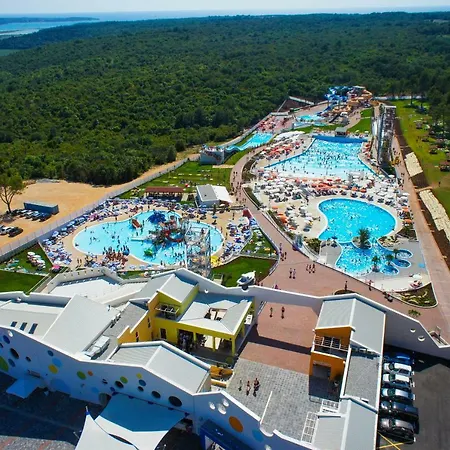 Ana * 브르토니글라