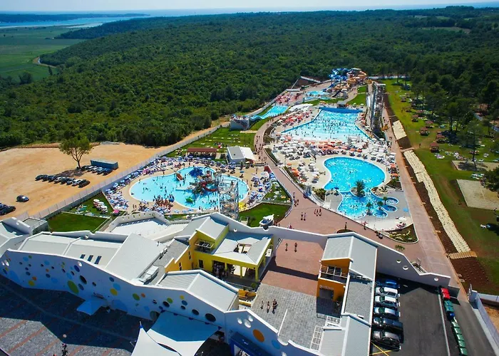 Ana * 브르토니글라